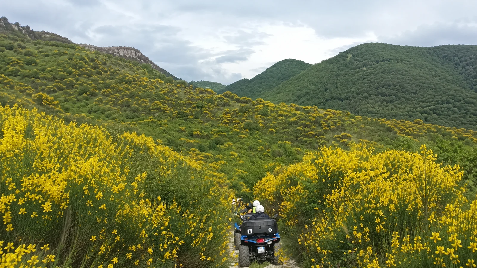 Le Ginestre — vista panoramica 2
