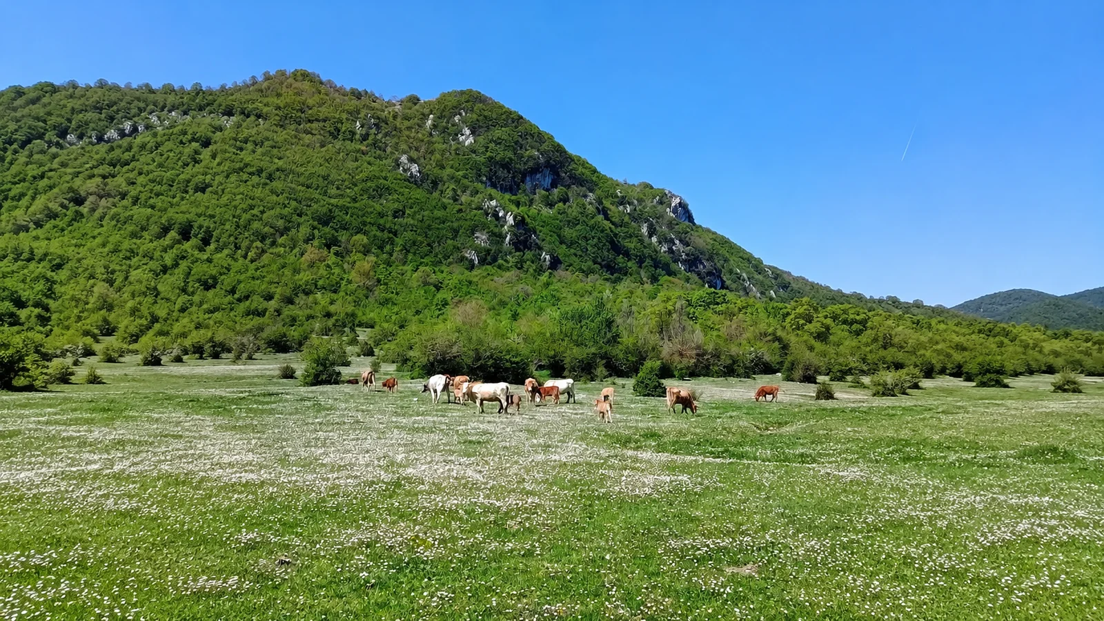 Il Merro — vista panoramica 3