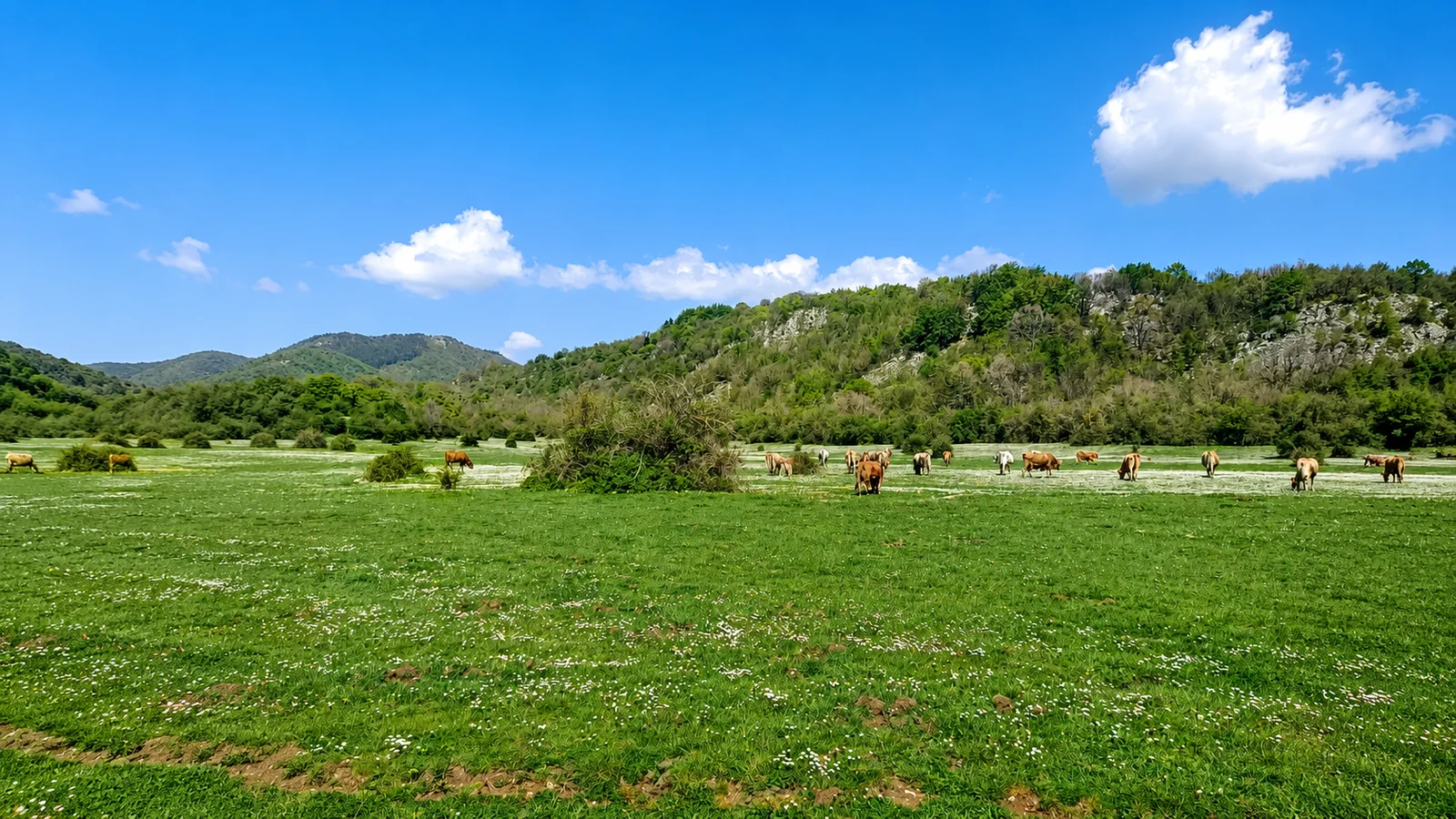 Il Merro — vista panoramica 4